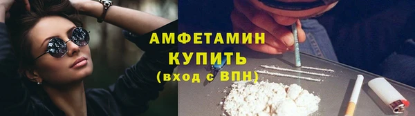 мдпв Горнозаводск