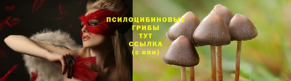 марки nbome Горняк
